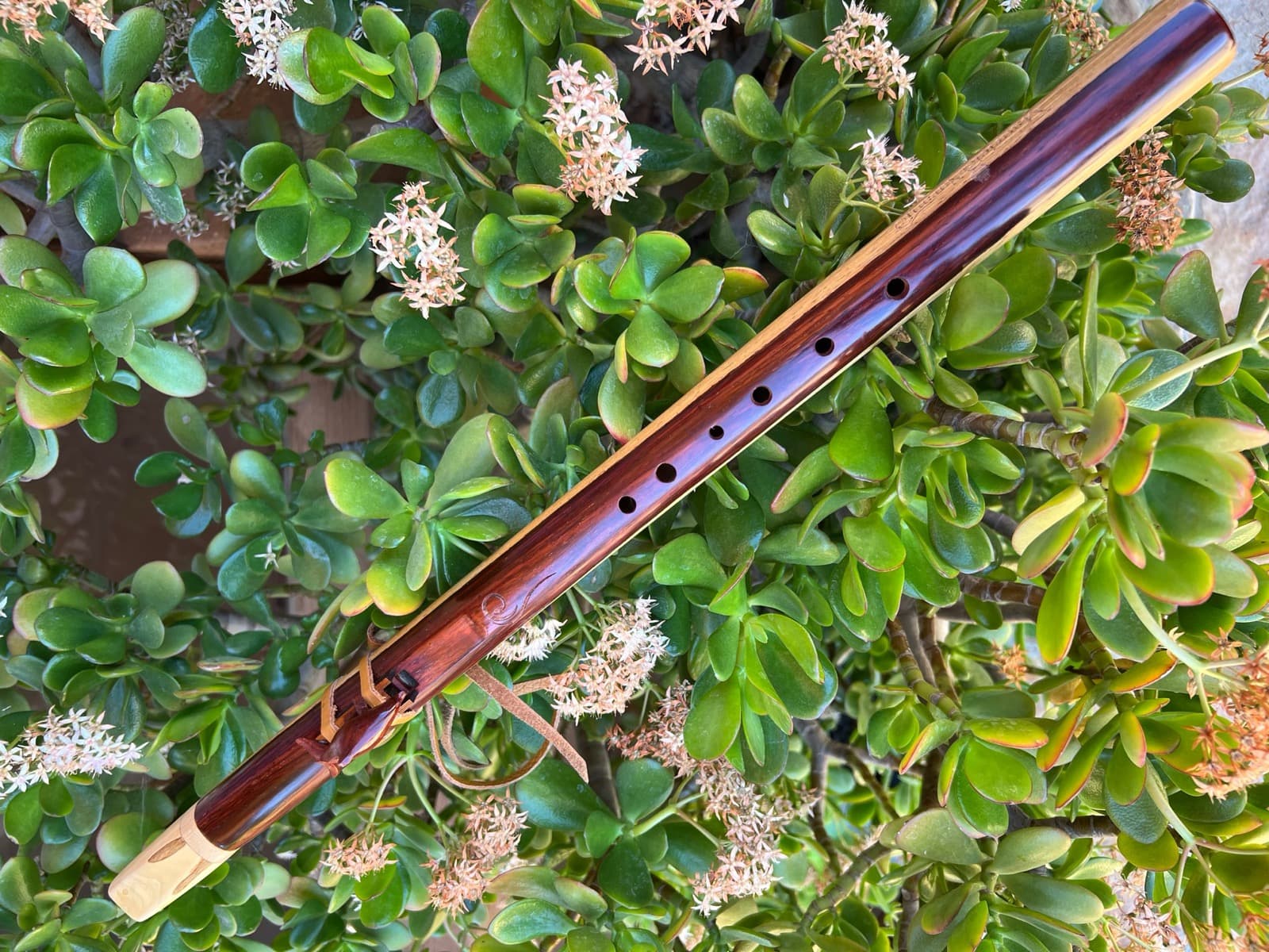 Flauta de cocobolo bicolor con tótem de delfín, sobre una planta de jade