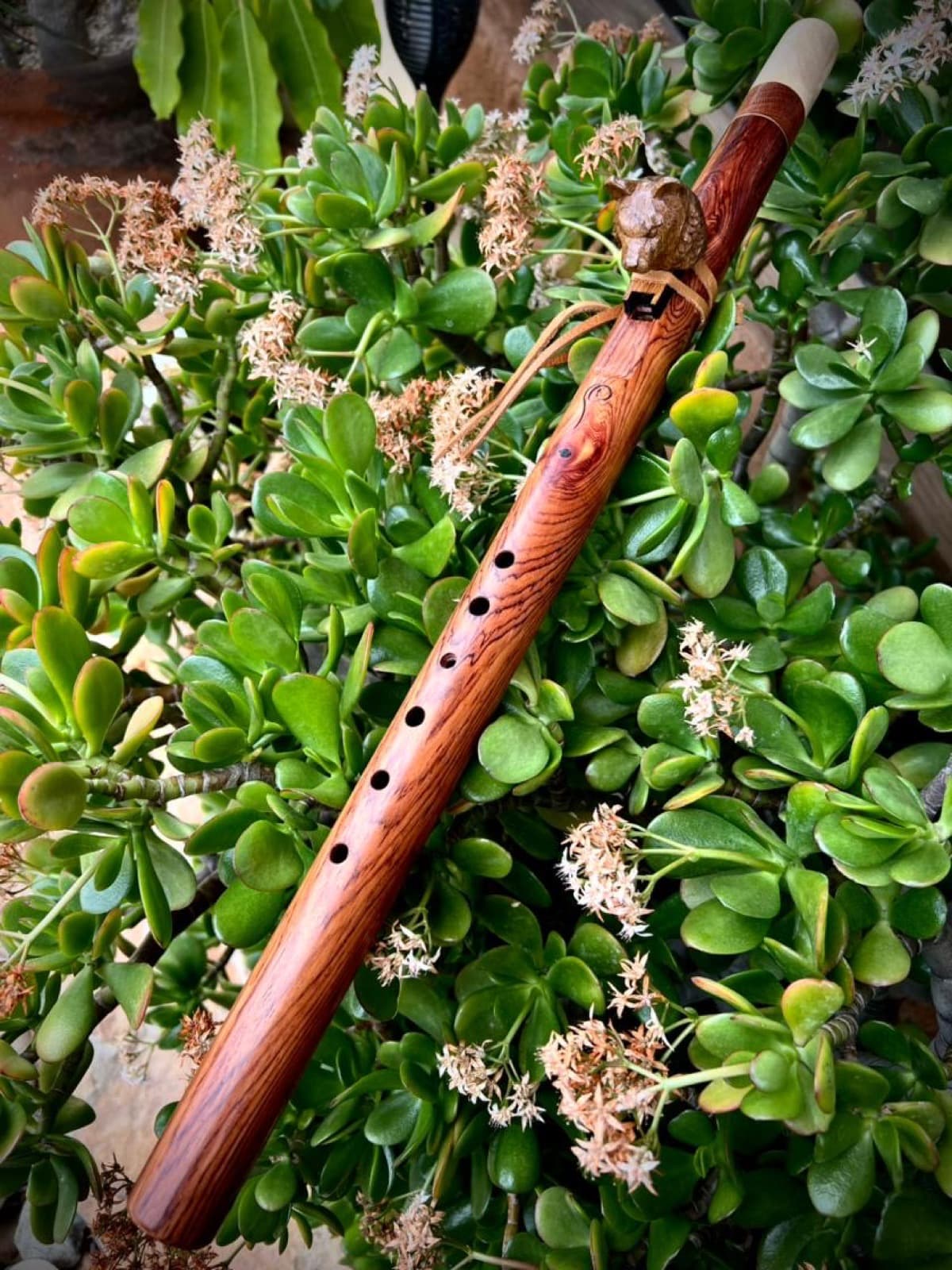 Flauta de moradillo con tótem de oso, sobre una planta de jade en flor