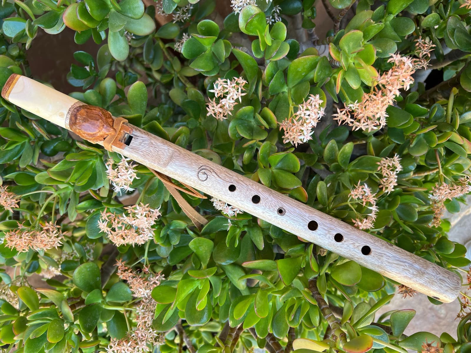 Flauta de madera de mango con tótem de águila, sobre una planta de jade en flor