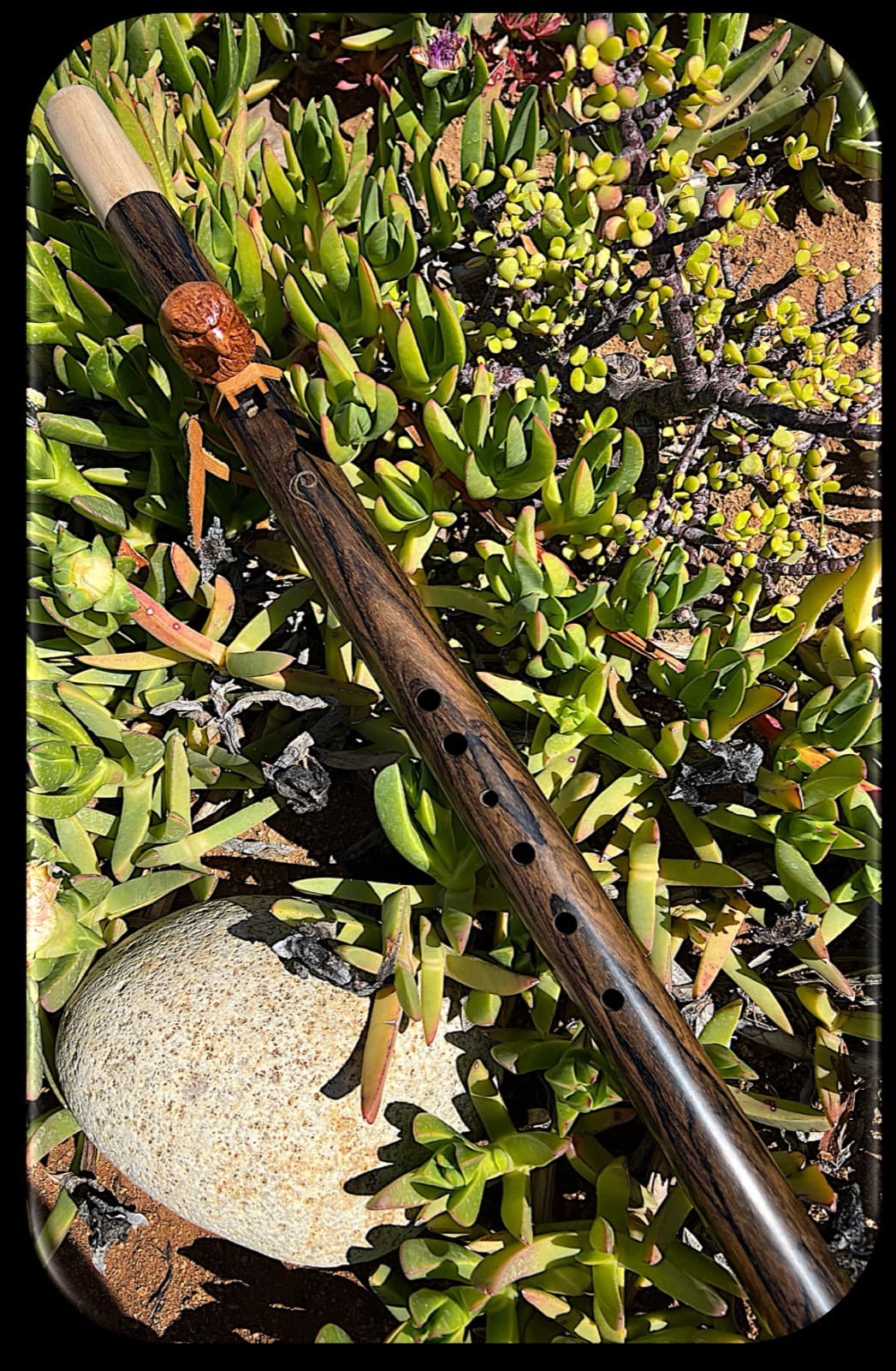 Flauta de ziricote de tono oscuro, sobre vegetación junto a una piedra