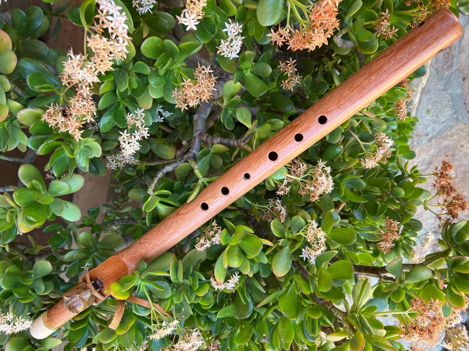 Flauta grave de cumaru sobre una planta de jade con flores blancas